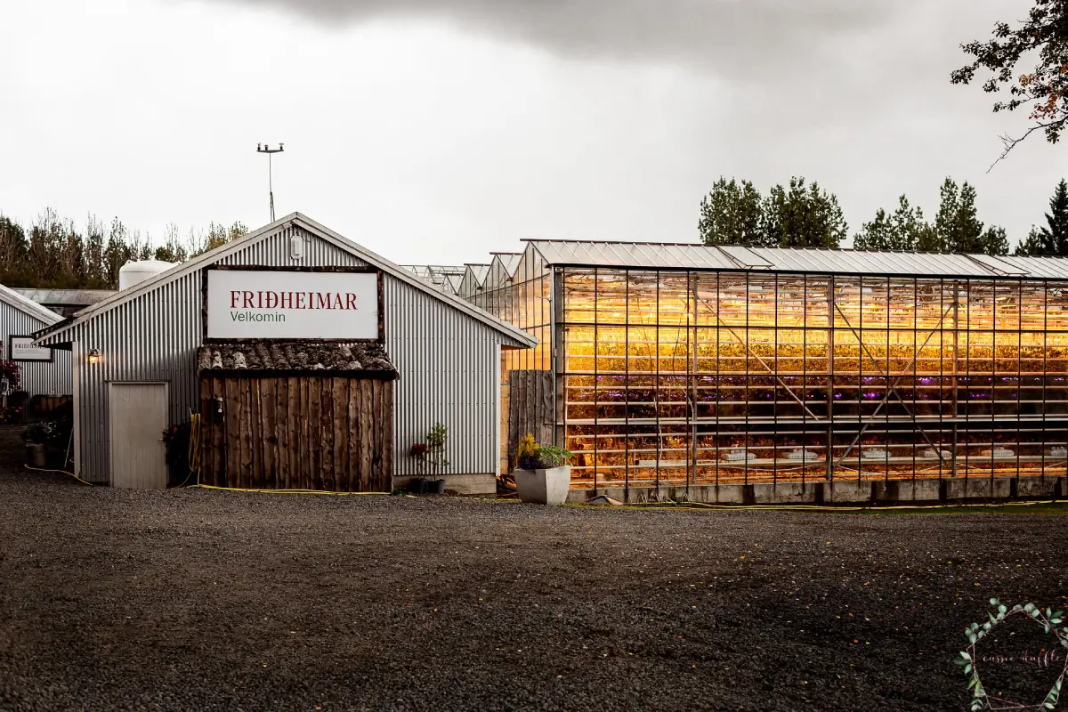 Golf course in Iceland