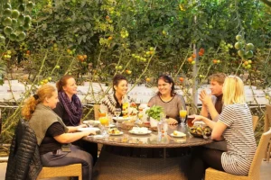Group dining inside Friðheimar greenhouse on the Golden Circle surrounded by tomato plants