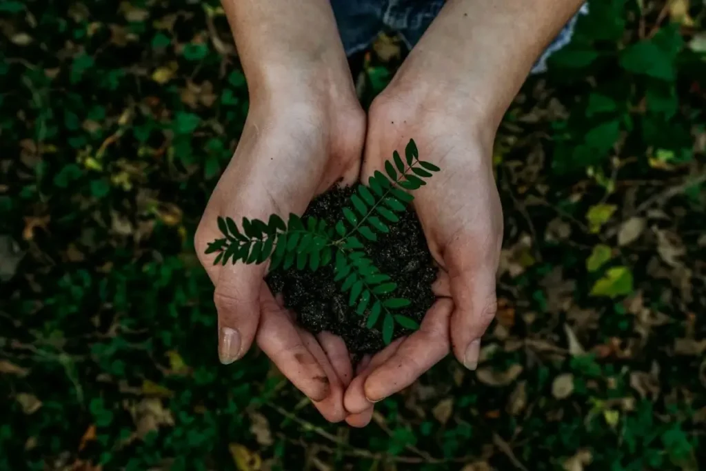 Woman holding a small green plant in her palms as a symbol of sustainability