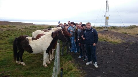 Small group meeting Icelandic horses on a guided tour