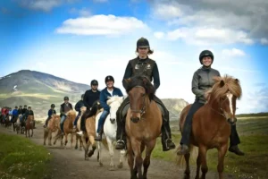 Group riding Icelandic horses through scenic Icelandic countryside on a guided tour