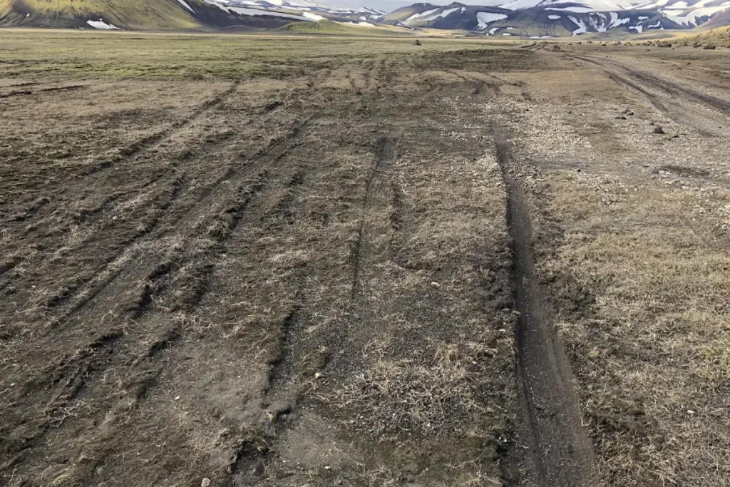 Off-road driving damage on Icelandic moss landscape in the Highlands