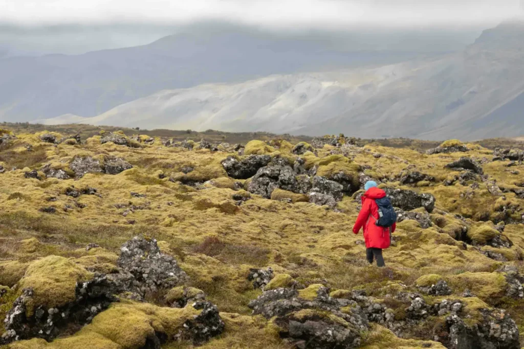 Hiking in Iceland
