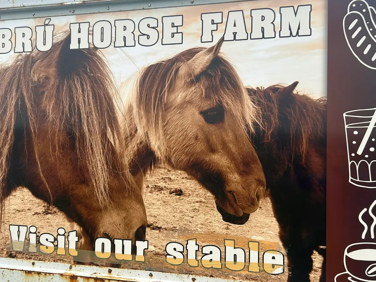 Br&uacute; Horse Farm
