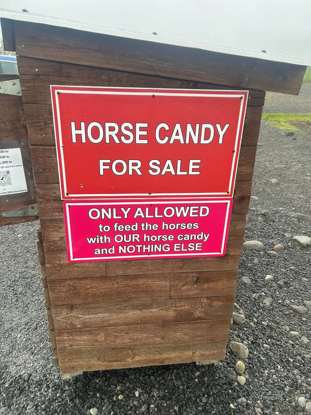 Horse treats for feeding at Brú Horse Farm